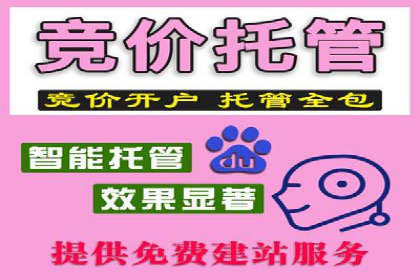 某行业SEM竞价策略的运营实践与效果